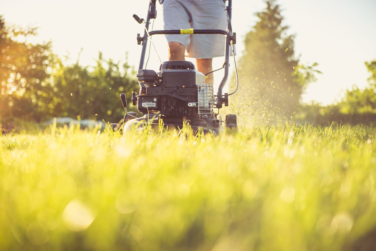 hero-img-01 Close-up of a person mowing the lawn with a gas lawn mower on a sunny summer day.